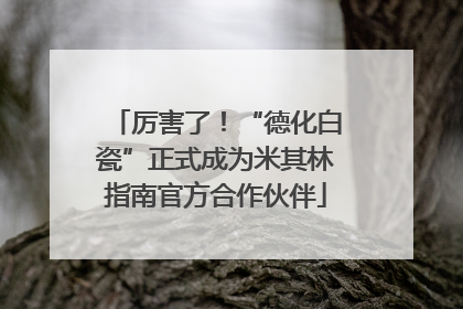 厉害了！“德化白瓷”正式成为米其林指南官方合作伙伴