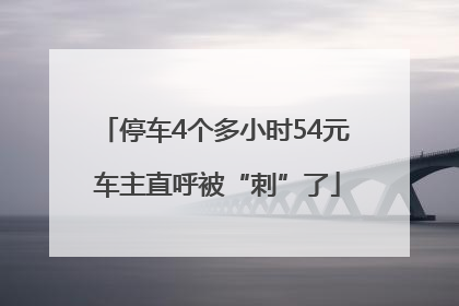 停车4个多小时54元 车主直呼被“刺”了