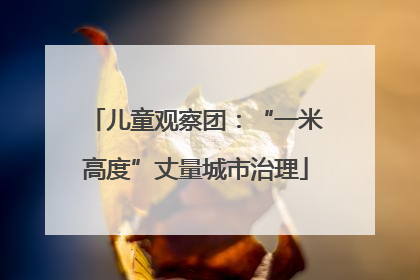 儿童观察团：“一米高度”丈量城市治理