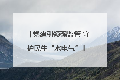党建引领强监管 守护民生“水电气”