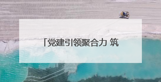 党建引领聚合力 筑牢安全“防火墙”