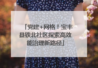 党建+网格！宝丰县铁北社区探索高效能治理新路径