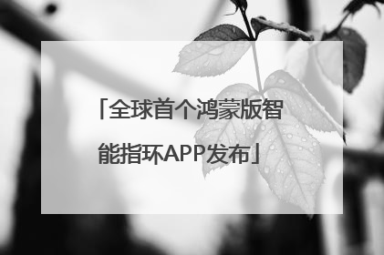 全球首个鸿蒙版智能指环APP发布