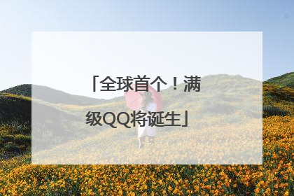 全球首个！满级QQ将诞生