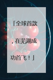 全球首款，在芜湖成功首飞！