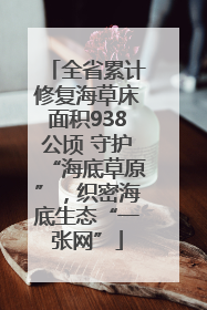 全省累计修复海草床面积938公顷 守护“海底草原”，织密海底生态“一张网”