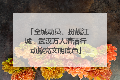 全城动员、扮靓江城，武汉万人清洁行动擦亮文明底色