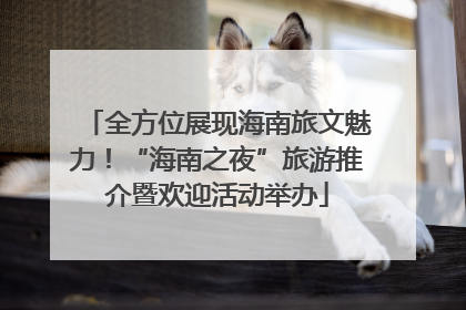 全方位展现海南旅文魅力！“海南之夜”旅游推介暨欢迎活动举办