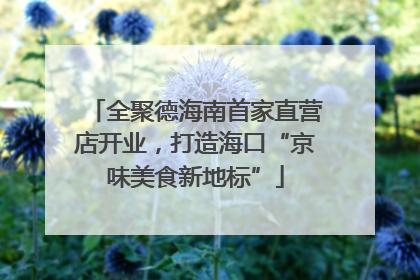全聚德海南首家直营店开业,打造海口“京味美食新地标”