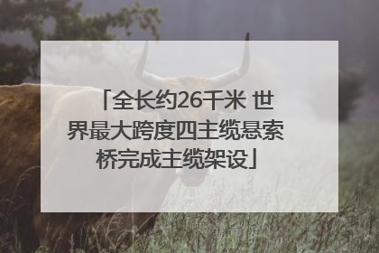 全长约26千米 世界最大跨度四主缆悬索桥完成主缆架设