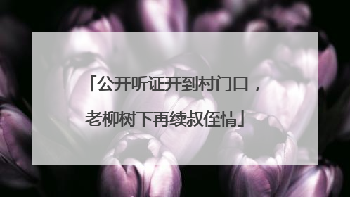 公开听证开到村门口，老柳树下再续叔侄情