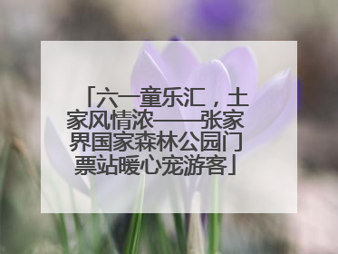 六一童乐汇，土家风情浓——张家界国家森林公园门票站暖心宠游客