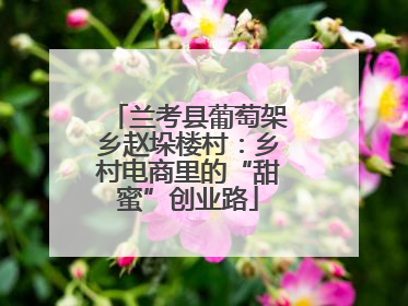 兰考县葡萄架乡赵垛楼村：乡村电商里的“甜蜜”创业路