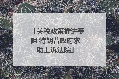 关税政策推进受阻 特朗普政府求助上诉法院