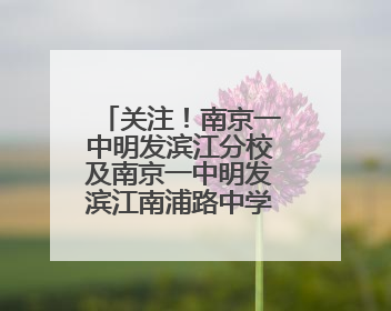 关注！南京一中明发滨江分校及南京一中明发滨江南浦路中学公开招聘