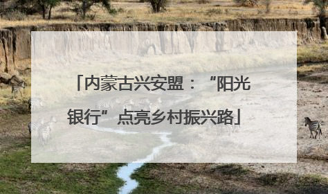 内蒙古兴安盟：“阳光银行”点亮乡村振兴路