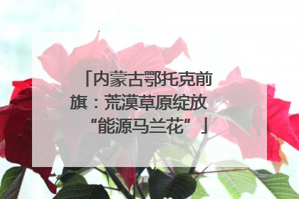 内蒙古鄂托克前旗：荒漠草原绽放“能源马兰花”