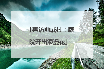 再访前戚村：庭院开出浪漫花
