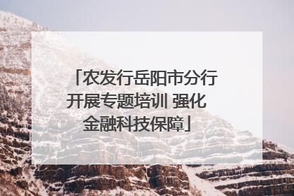 农发行岳阳市分行开展专题培训 强化金融科技保障