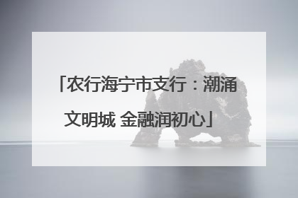 农行海宁市支行：潮涌文明城 金融润初心