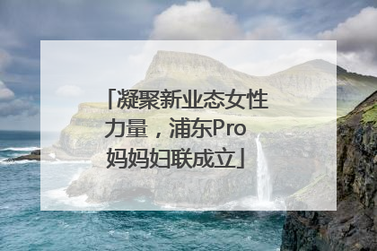 凝聚新业态女性力量，浦东Pro妈妈妇联成立