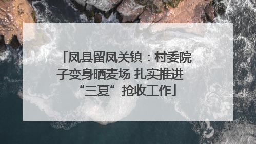 凤县留凤关镇：村委院子变身晒麦场 扎实推进“三夏”抢收工作