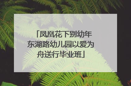 凤凰花下别幼年 东湖路幼儿园以爱为舟送行毕业班