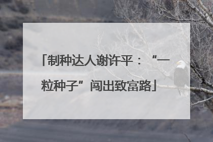制种达人谢许平：“一粒种子”闯出致富路
