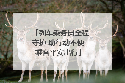 列车乘务员全程守护 助行动不便乘客平安出行
