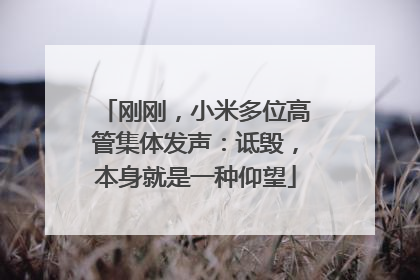 刚刚，小米多位高管集体发声：诋毁，本身就是一种仰望
