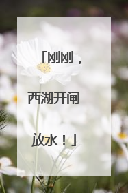 刚刚，西湖开闸放水！