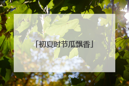 初夏时节瓜飘香