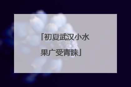 初夏武汉小水果广受青睐