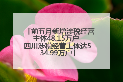 前五月新增涉税经营主体48.15万户 四川涉税经营主体达534.99万户