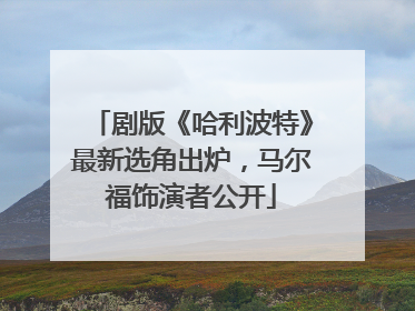 剧版《哈利波特》最新选角出炉，马尔福饰演者公开