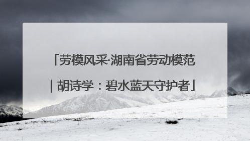 劳模风采·湖南省劳动模范｜胡诗学：碧水蓝天守护者