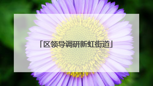 区领导调研新虹街道
