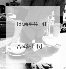 北京平谷：红杏成熟上市