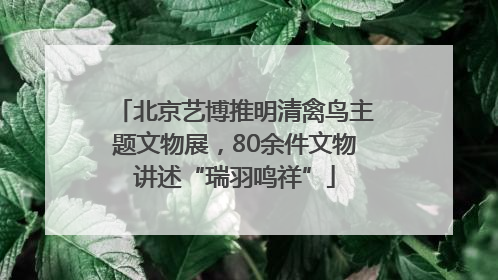 北京艺博推明清禽鸟主题文物展，80余件文物讲述“瑞羽鸣祥”