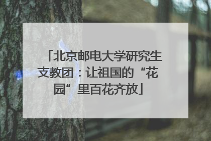北京邮电大学研究生支教团：让祖国的“花园”里百花齐放