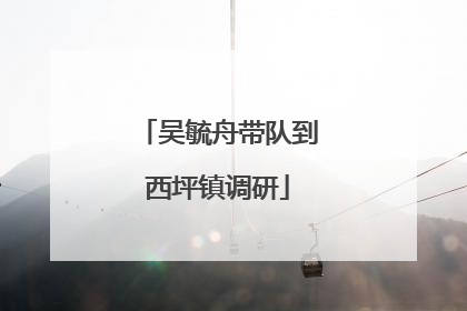 吴毓舟带队到西坪镇调研