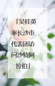 吴桂英率长沙市代表团访问沙特阿拉伯