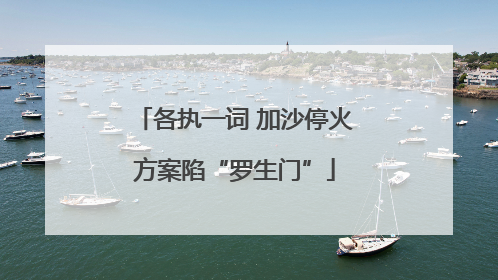 各执一词 加沙停火方案陷“罗生门”