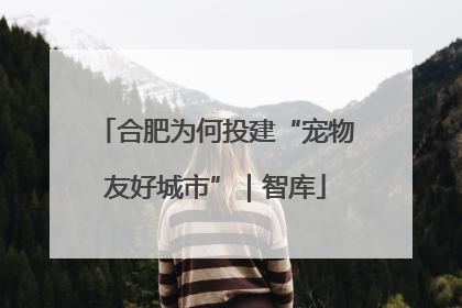 合肥为何投建“宠物友好城市”｜智库