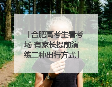 合肥高考生看考场 有家长提前演练三种出行方式