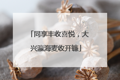 同享丰收喜悦，大兴瀛海麦收开镰