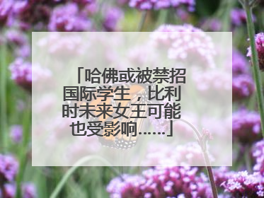 哈佛或被禁招国际学生，比利时未来女王可能也受影响……
