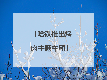 哈铁推出烤肉主题车厢