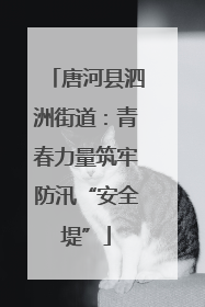 唐河县泗洲街道：青春力量筑牢防汛“安全堤”