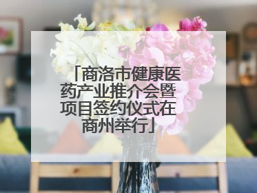 商洛市健康医药产业推介会暨项目签约仪式在商州举行